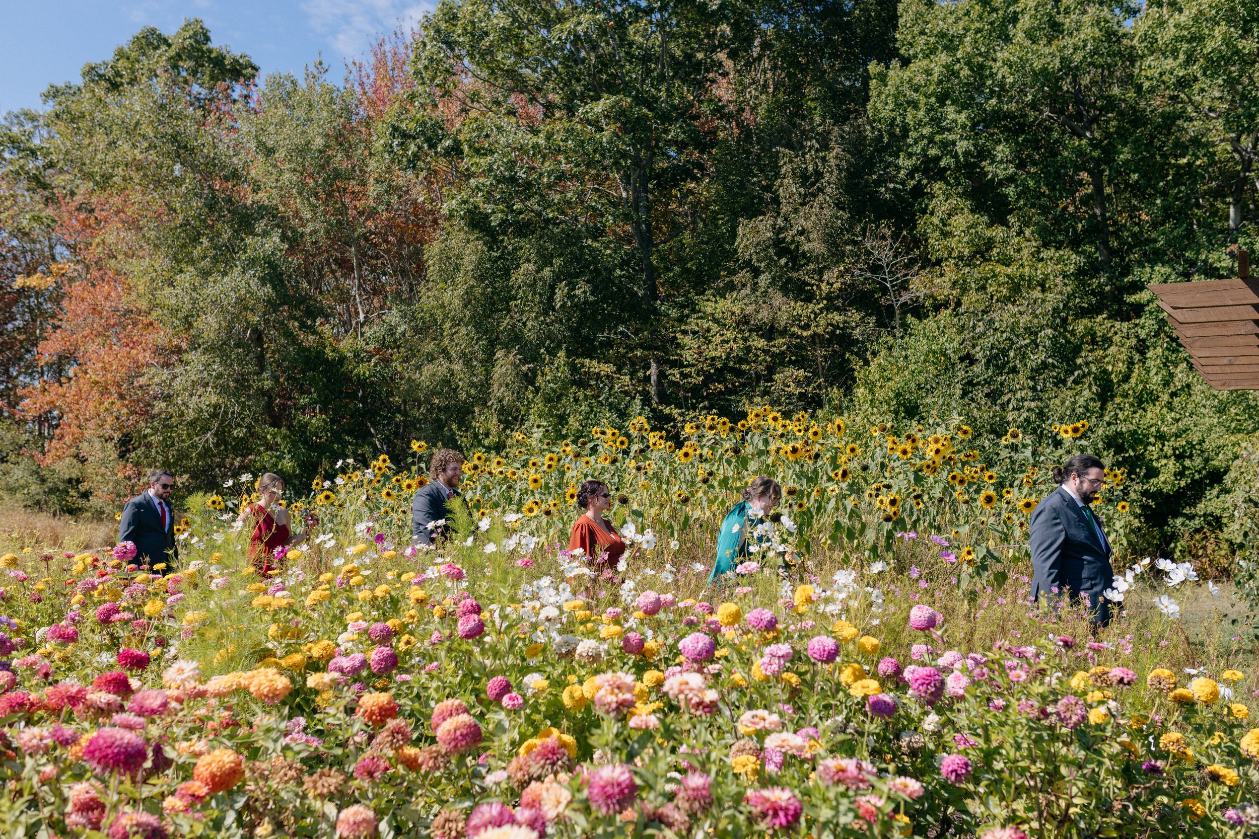 Wedding venue Nova Scotia, Greenhouse on Strawberry Lane, Flower Garden, Halifax Wedding Photographer, Prince Edward County Photographer