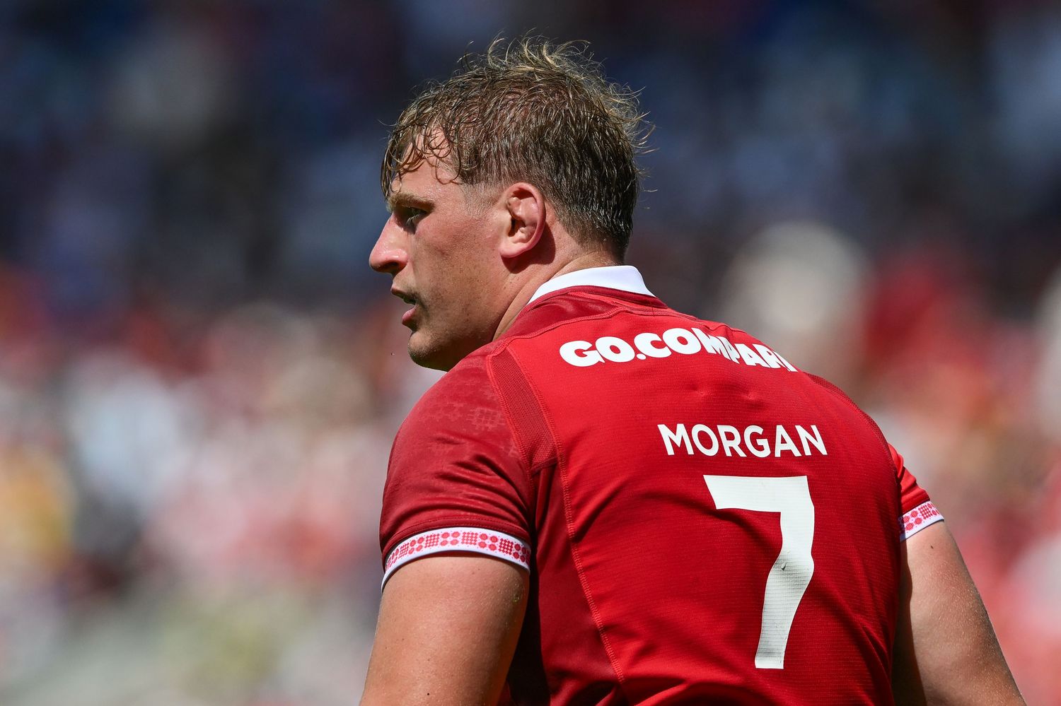 Rugby player wearing red Morgan 7 jersey with Go.Compare sponsor on back, standing on sunny stadium pitch.