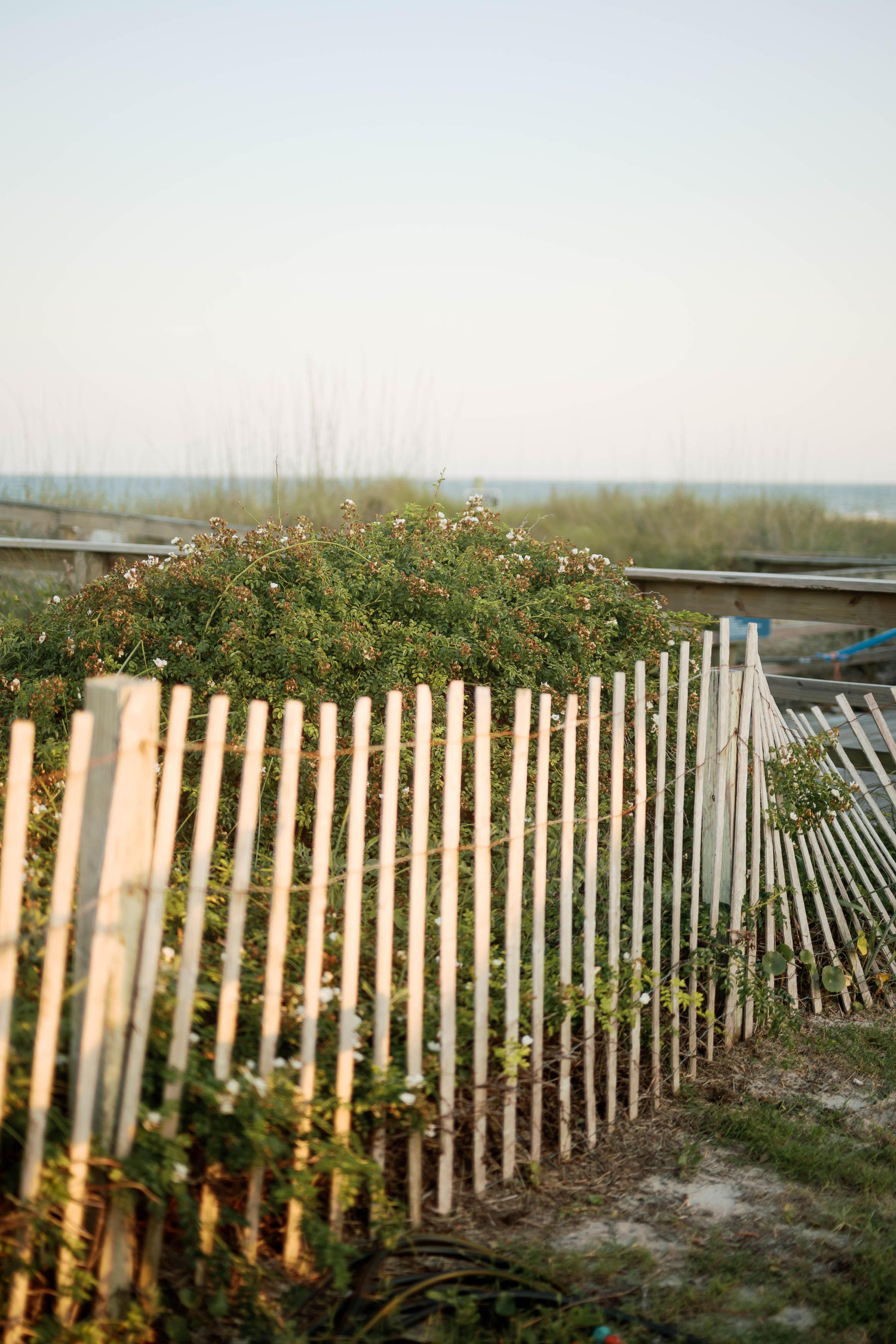 White picket fence with green shrubs near a sandy beach at golden hour.
