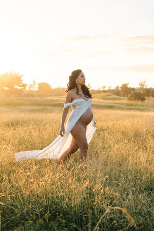 Pregnant woman in flowing white fabric poses in golden field at sunset.