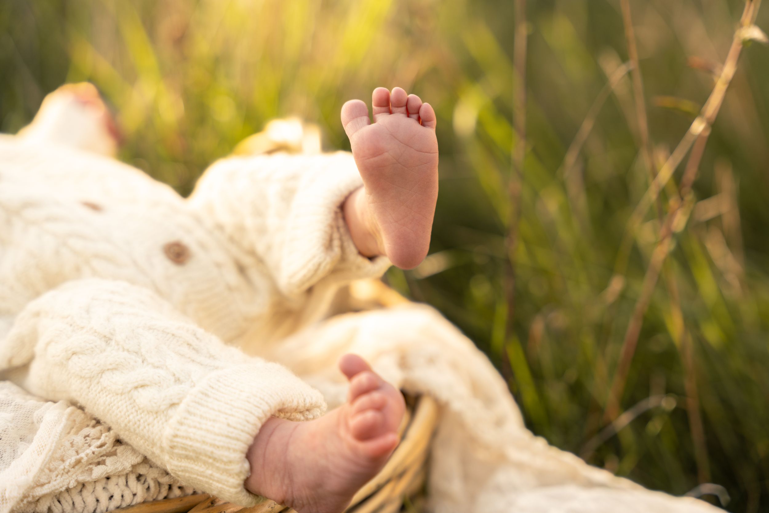 Close-up of tiny newborn baby feet resting in a wicker basket outdoors in a sunny green meadow.