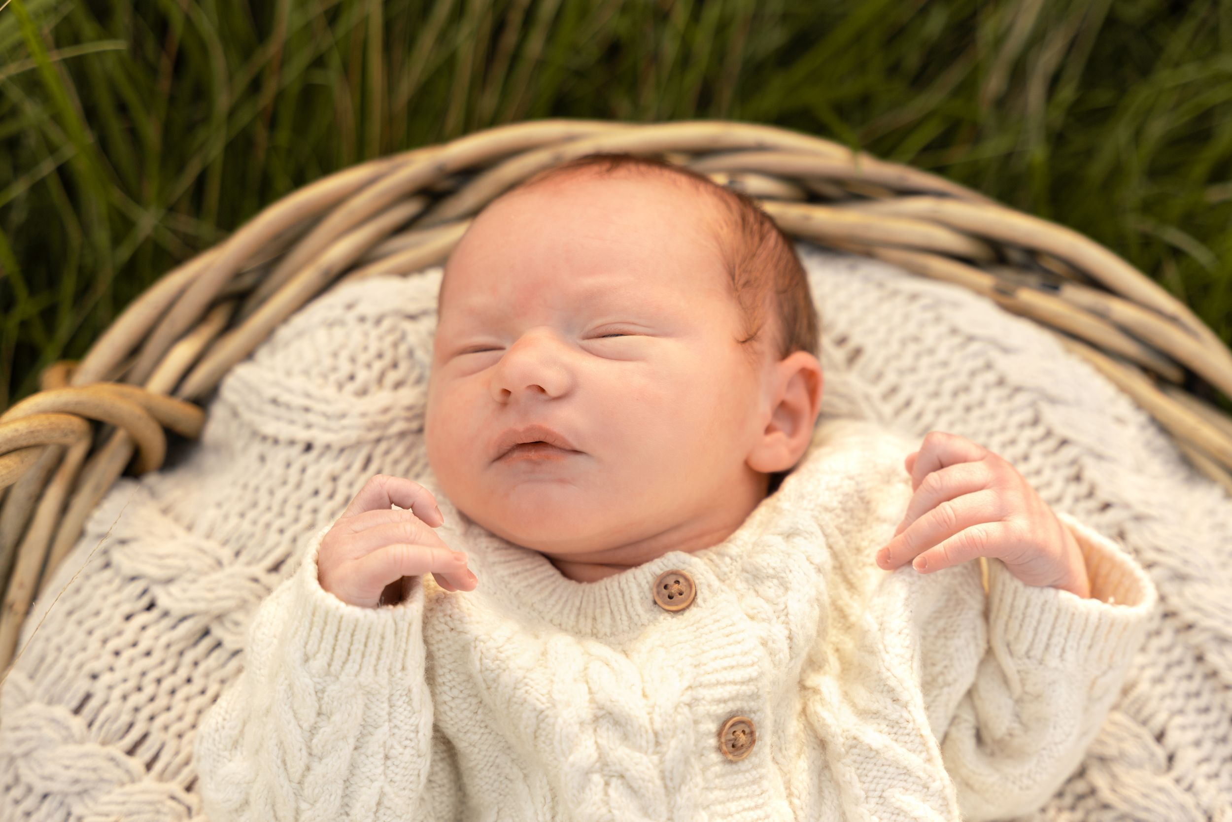 Newborn baby sleeping peacefully in a wicker basket, wearing a cream cable-knit sweater, surrounded by green grass.