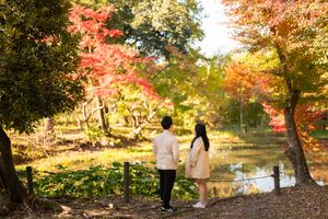 Two people stand side by side beside a calm pond, admiring vibrant red and orange autumn maple leaves in a peaceful Japanese-style park.