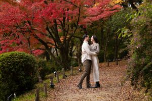 Couple embracing on a gravel path beneath vibrant red autumn maple trees in a peaceful garden.
