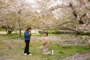 Man kneeling on one knee proposing to a surprised woman beneath blooming cherry blossom trees in a peaceful spring park.