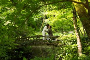 Couple in white and olive attire embrace on a small arched stone bridge surrounded by lush green trees in a tranquil Japanese-style garden.