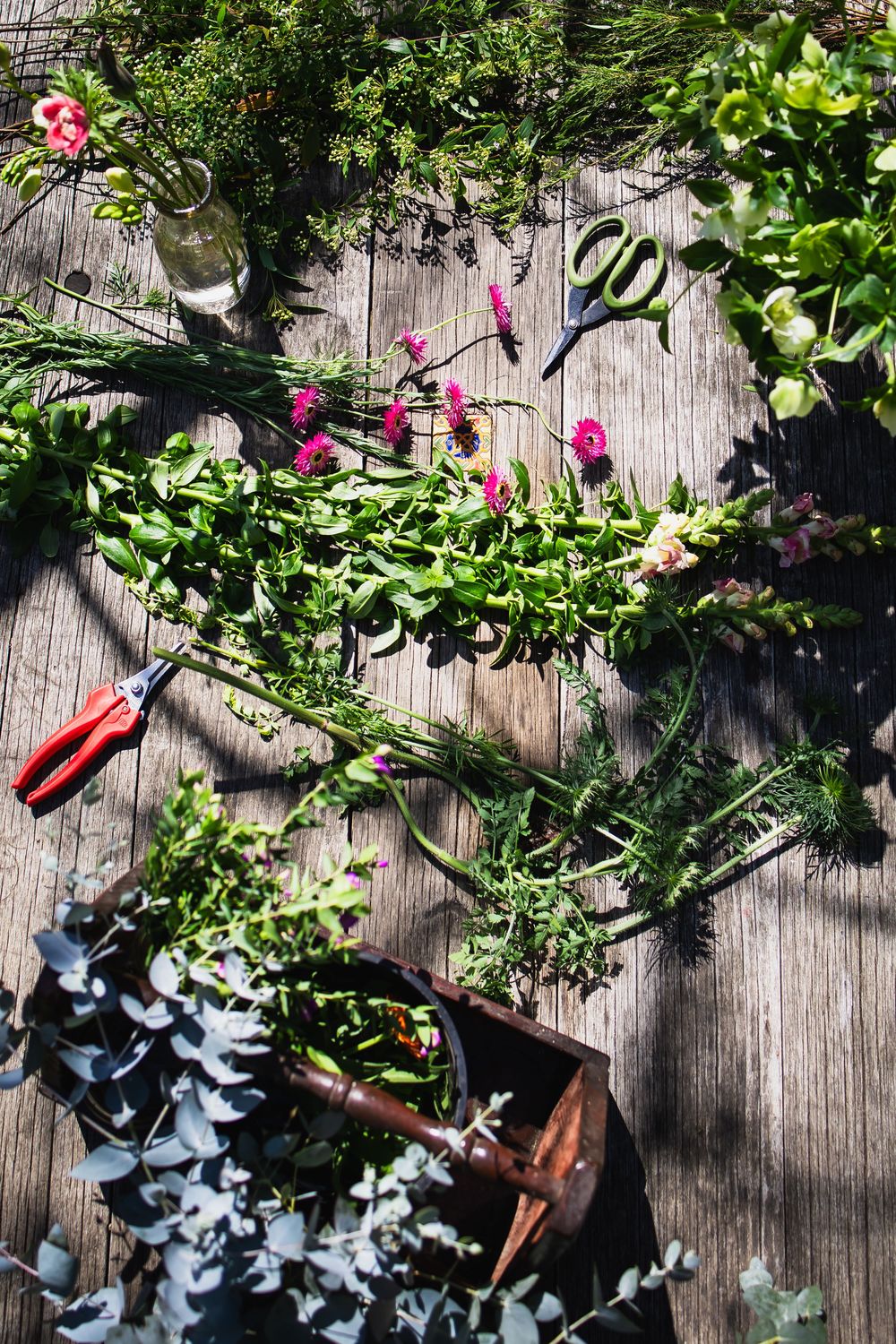 Overhead view of fresh garden herbs, pink flowers, and pruning scissors arranged on a rustic wooden table in sunlight.