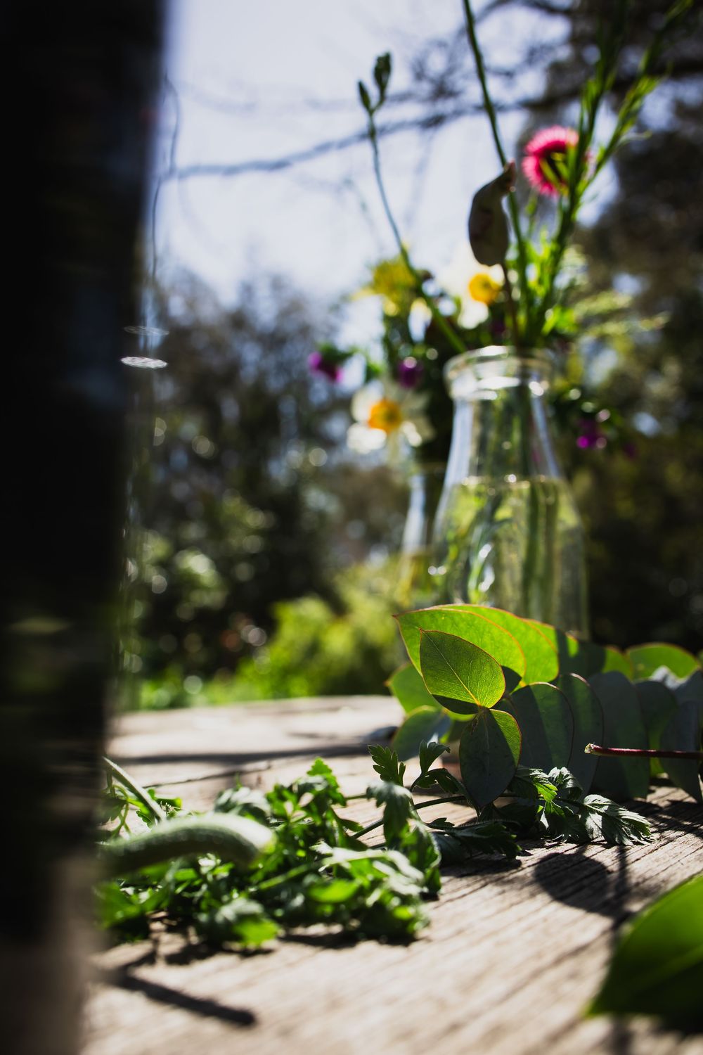Fresh green leaves and wildflowers in glass vases on a rustic wooden table in a sunny garden setting.