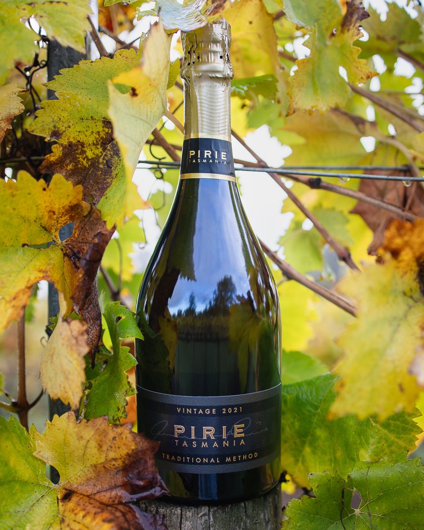 Pirie Tasmania Traditional Method vintage 2021 sparkling wine bottle nestled among autumn vineyard leaves.