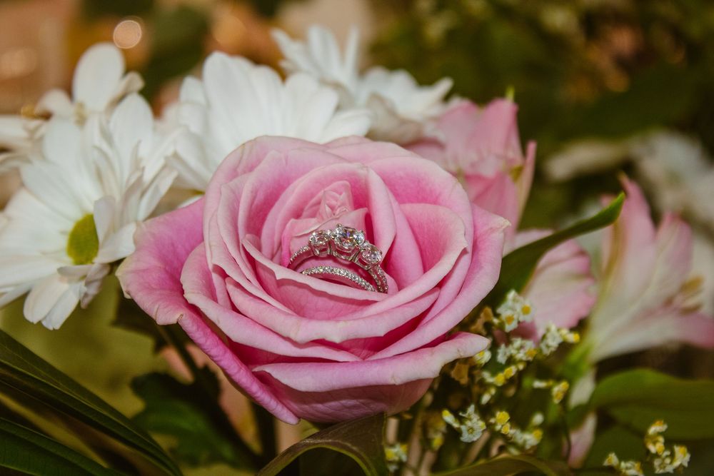 A sparkling diamond engagement ring resting inside a pink rose surrounded by white daisies in a wedding bouquet.