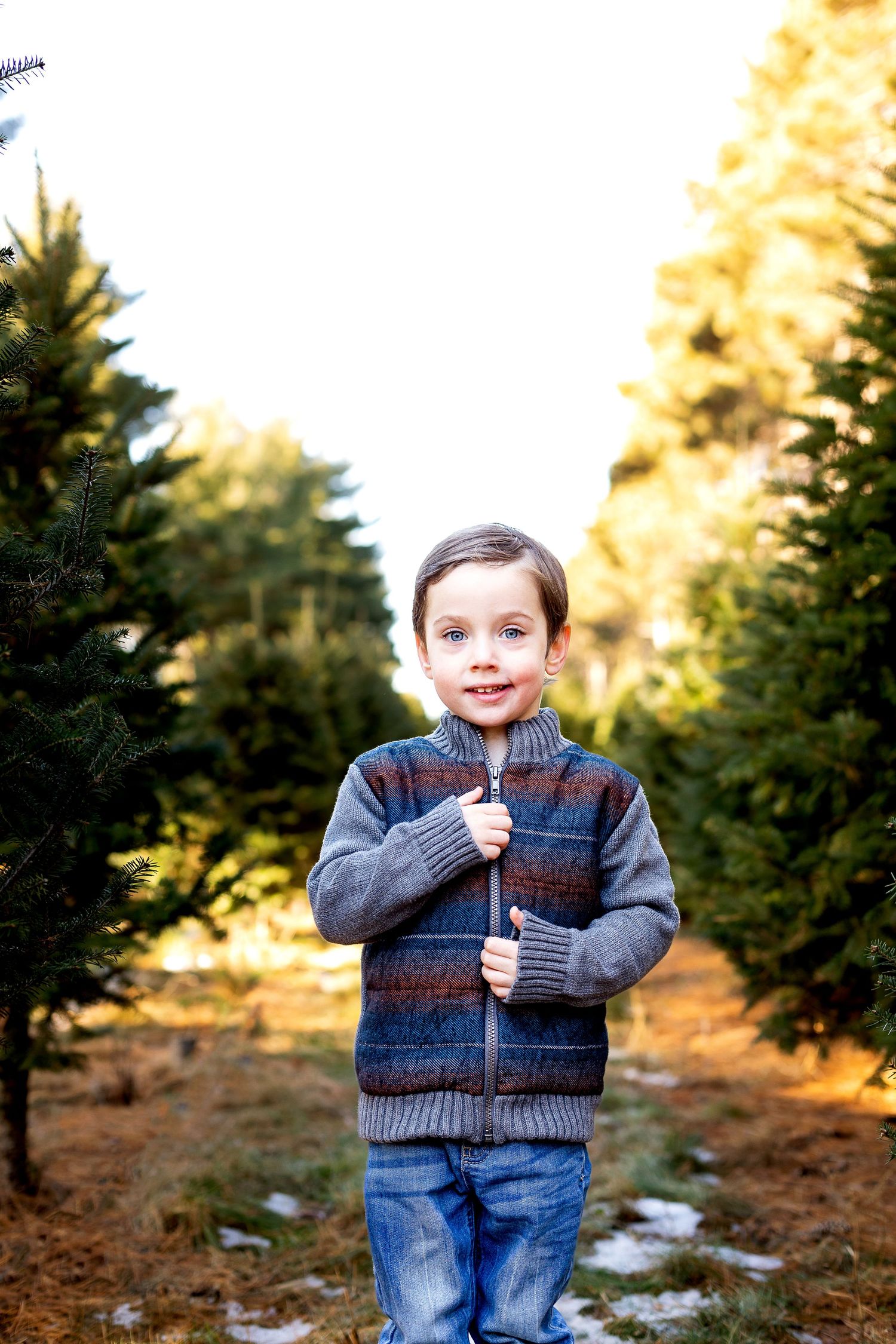 Young boy in striped sweater holding a stick among Christmas trees at a tree farm.