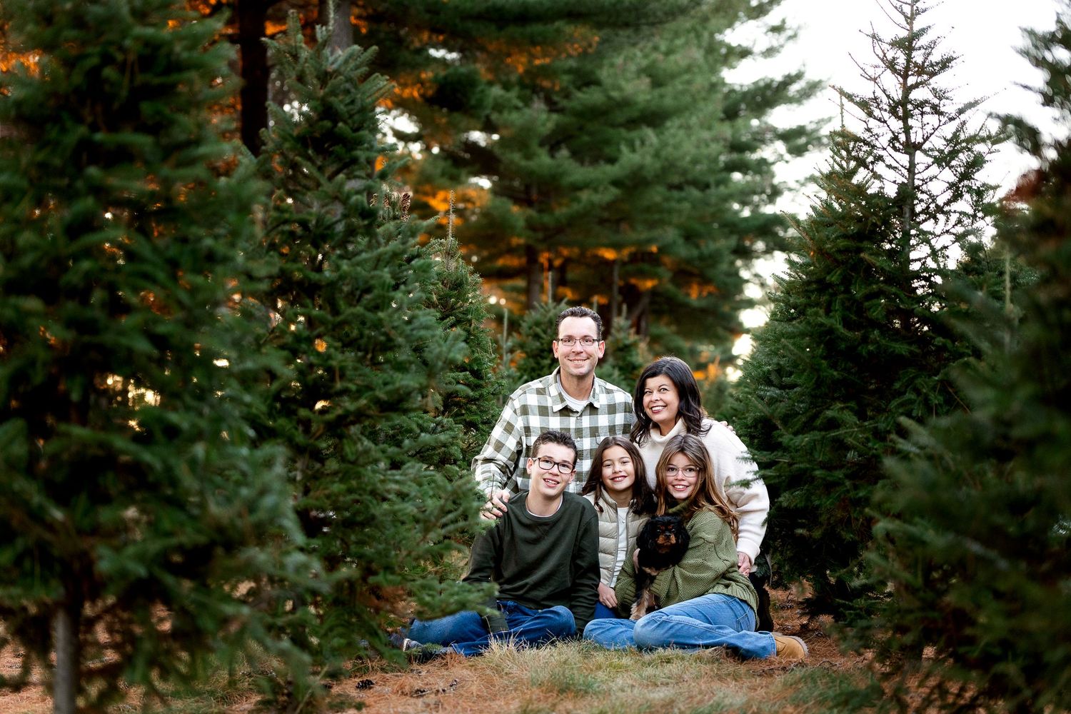 Family of five posing happily among tall green Christmas trees at a festive tree farm during the holiday season.