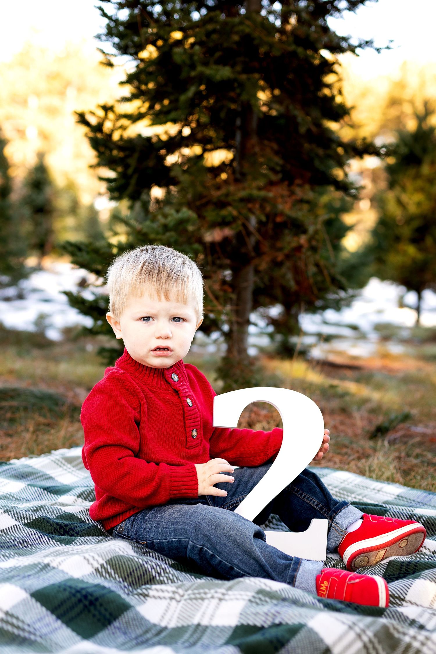 Toddler boy in red sweater holding number 2 sign sitting on plaid blanket outdoors among pine trees for birthday photo.