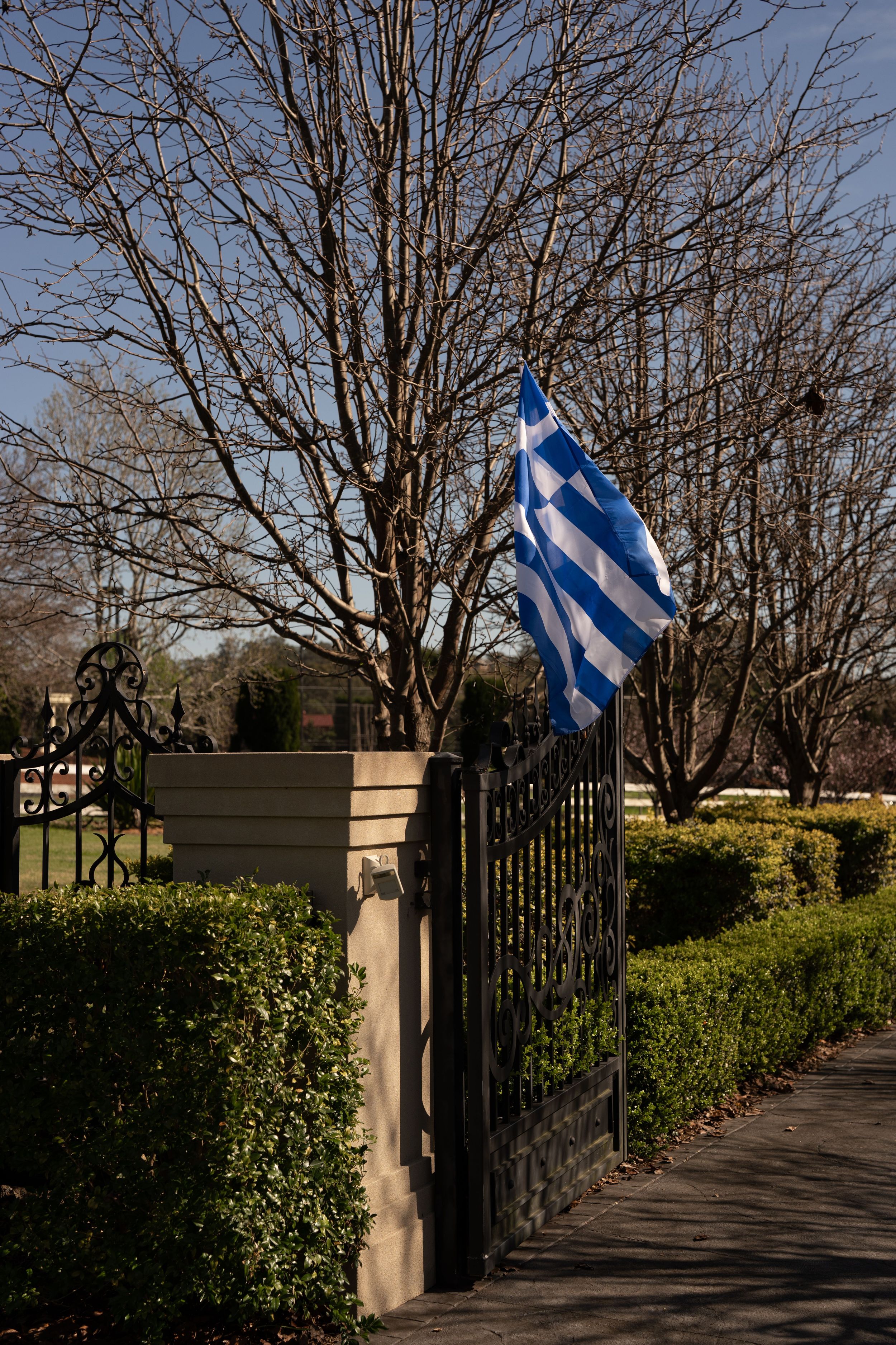 Greek flag with blue and white stripes flying beside an ornate black iron gate, trimmed green hedges and bare winter trees.