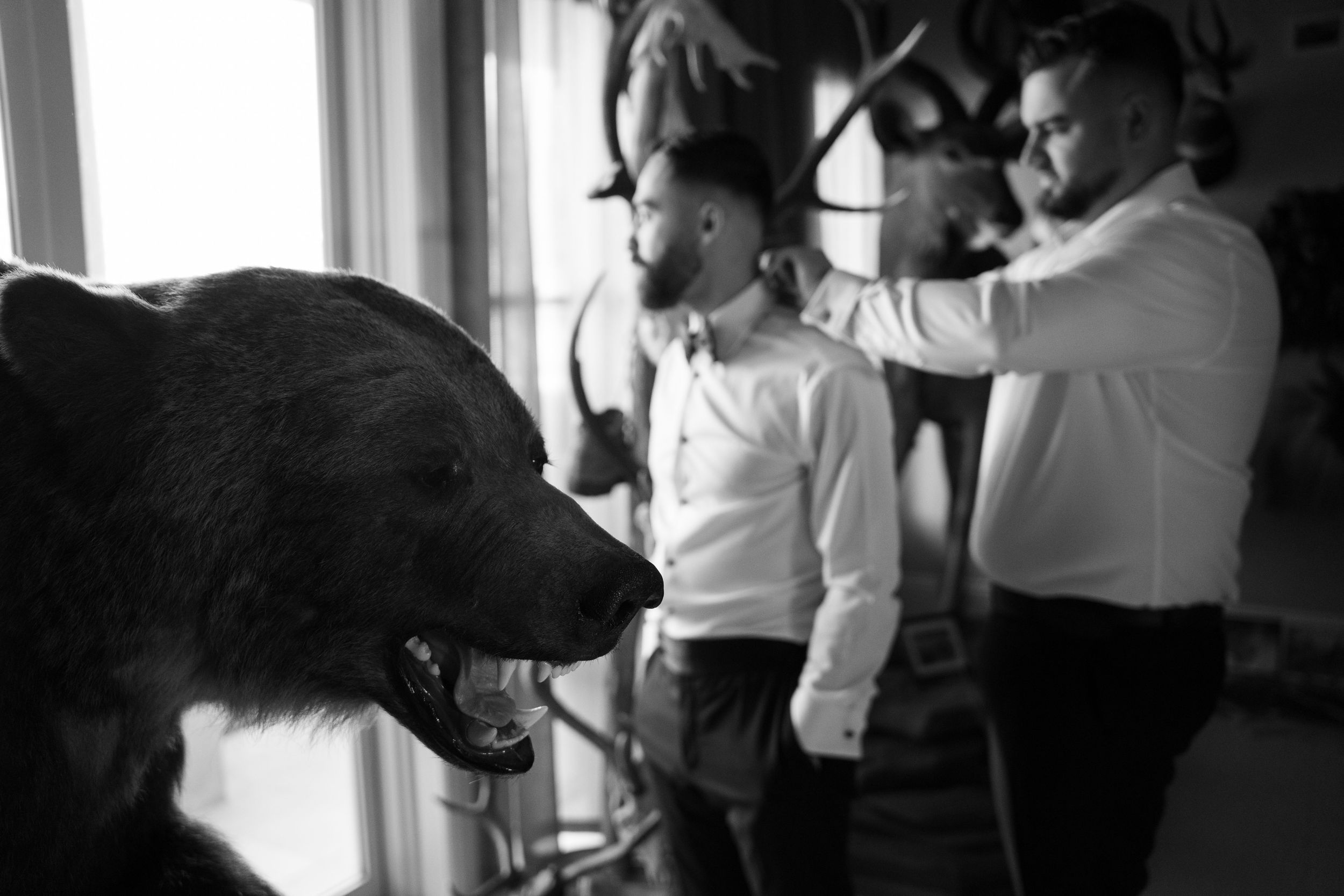Black and white photo of two bearded men in dress shirts adjusting attire near a taxidermy bear and mounted antlers.
