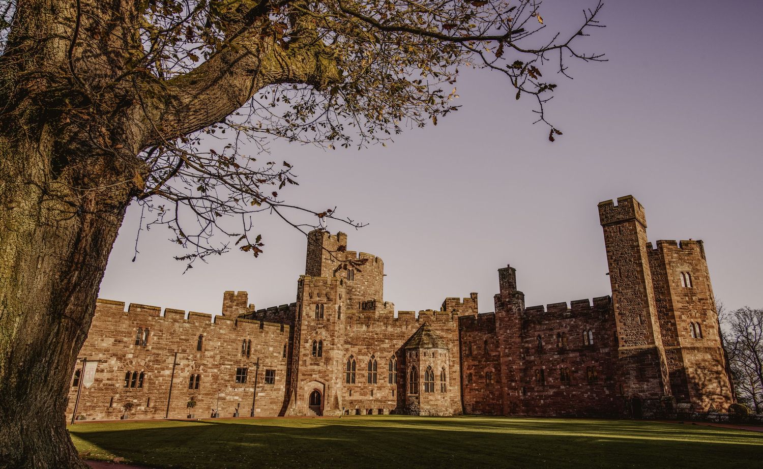 Historic red sandstone castle with crenellated towers and battlements seen beyond a large tree on a green lawn at sunset.