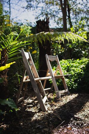 Two rustic wooden folding chairs nestled among lush ferns and greenery in a sunlit forest garden setting.
