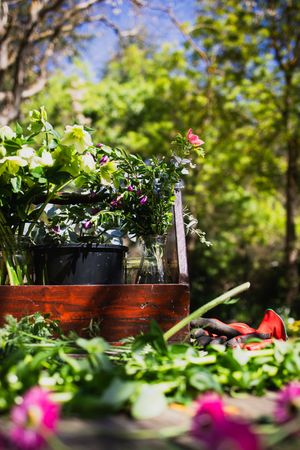 Wooden garden box filled with green plants and flowers, surrounded by gardening tools and pink blooms in a sunny garden.