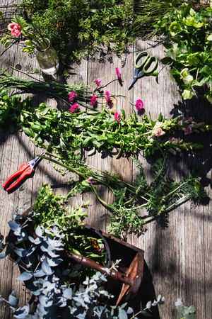 Overhead view of fresh herbs, flowers, and gardening scissors arranged on a rustic wooden table in sunlight.