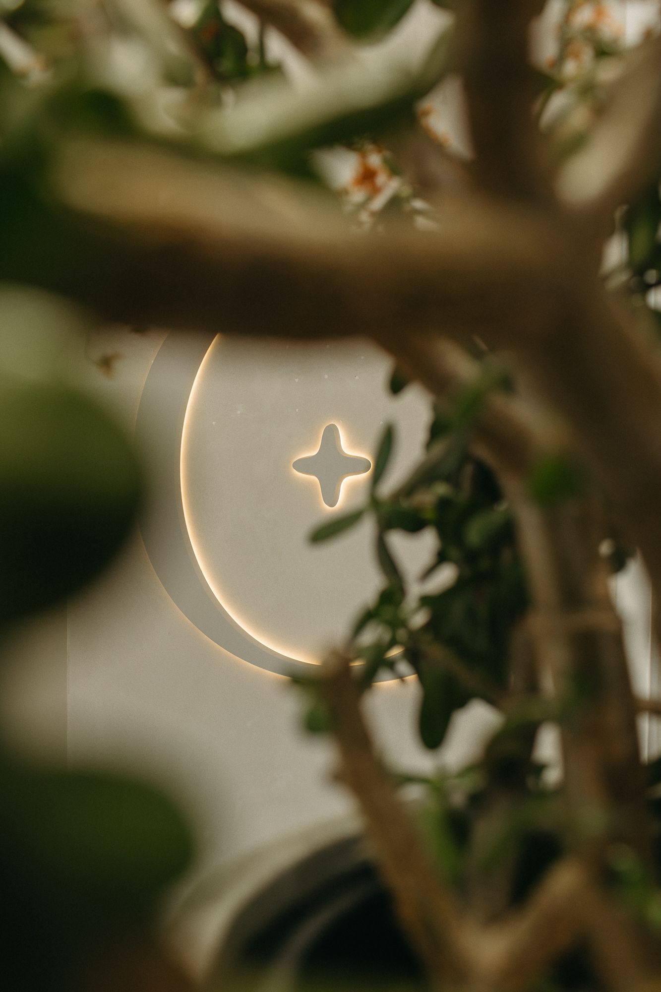 Glowing crescent moon and star light fixture seen through green plant branches in soft warm light.