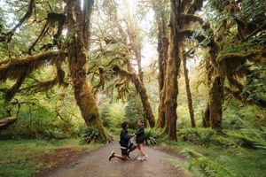Two people dancing on a forest path surrounded by moss-covered trees and lush ferns in a rainforest.