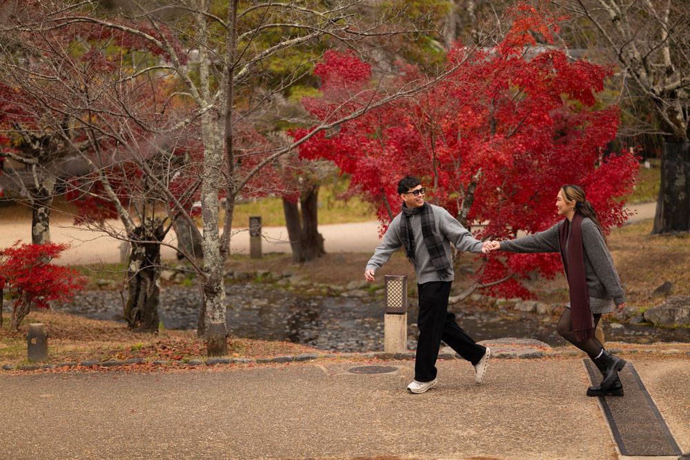 Couple holding hands running through a Japanese garden with vibrant red autumn maple trees in fall.