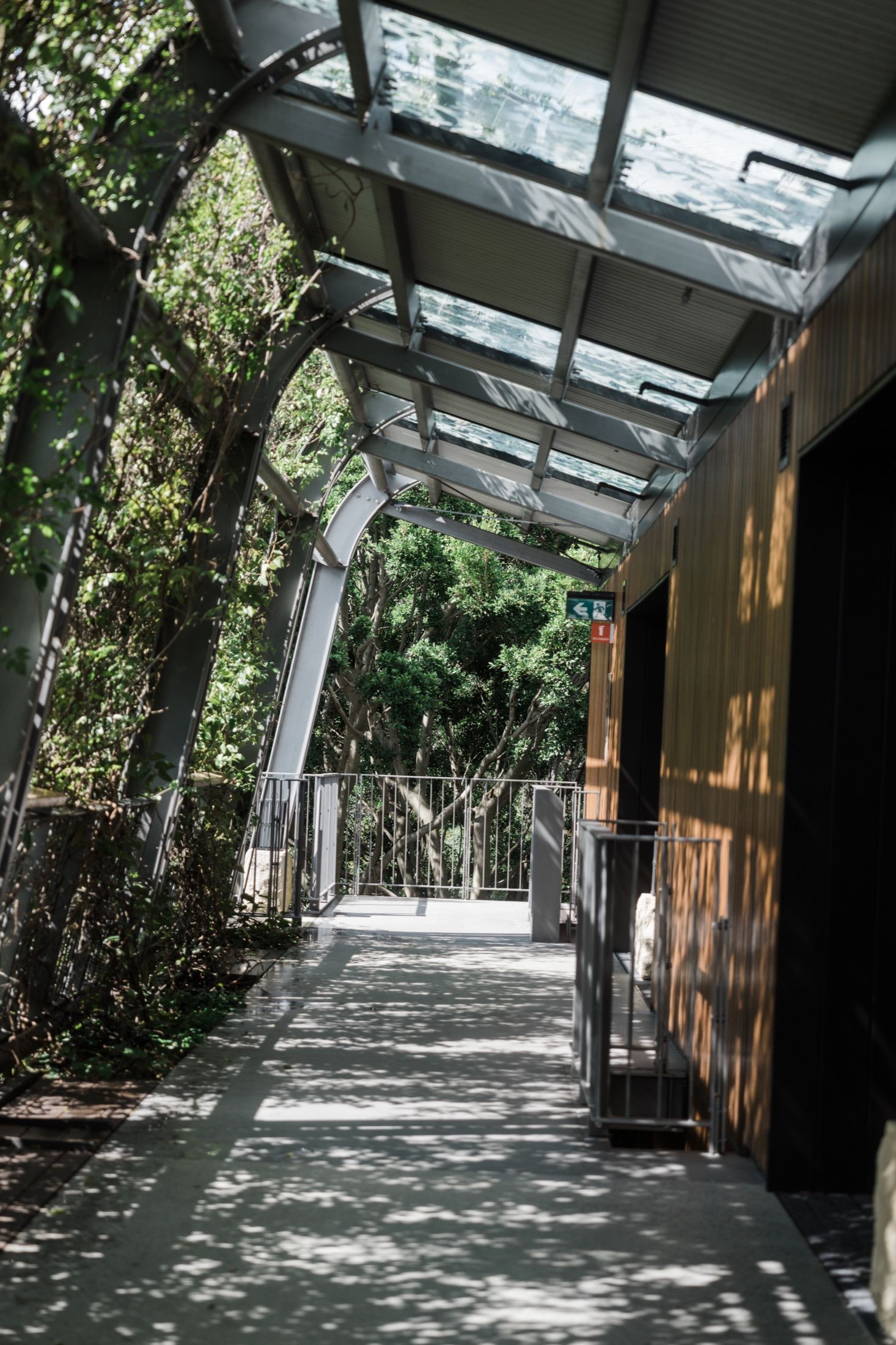 Sunlit covered walkway with glass roof panels, metal railings, and dappled tree shadows beside a modern timber building.
