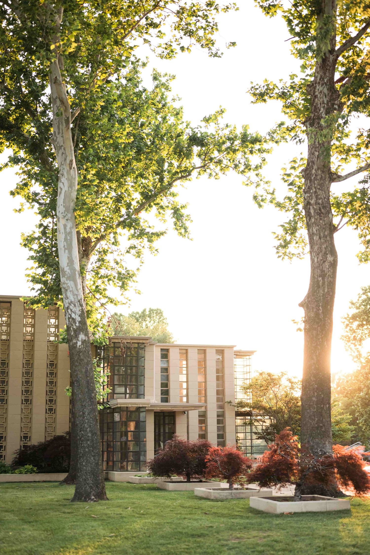 Sunlit modern home, named Westhope, a Frank Loyd Wright historical site, with tall trees on a green lawn at golden hour.