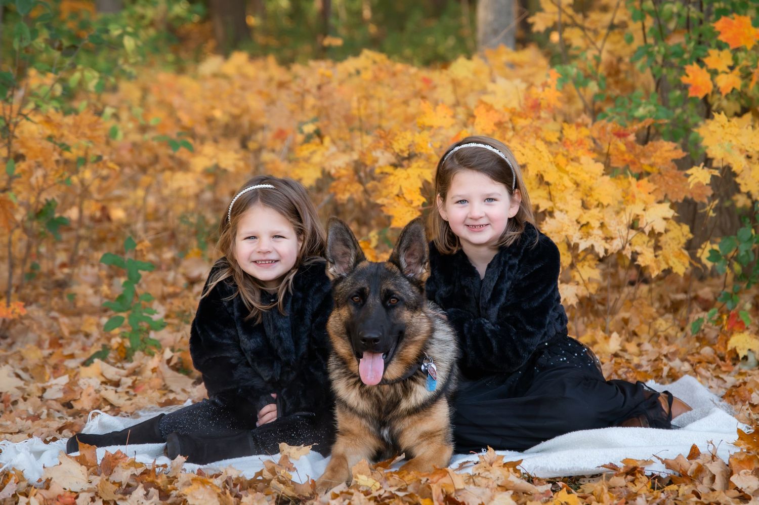 Two smiling girls in black dresses pose with a German Shepherd dog among golden autumn leaves in a forest setting.