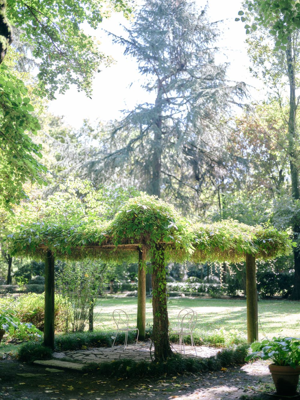 A wooden pergola covered in climbing vines creates a shaded walkway in a peaceful garden setting.