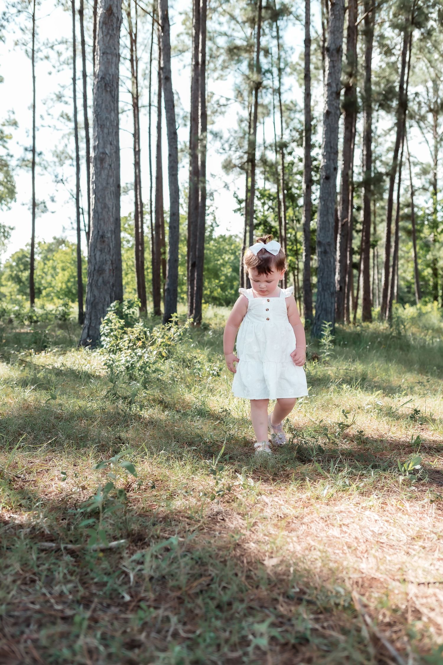 Young girl in white dress walking through a sunlit pine forest on a summer day.