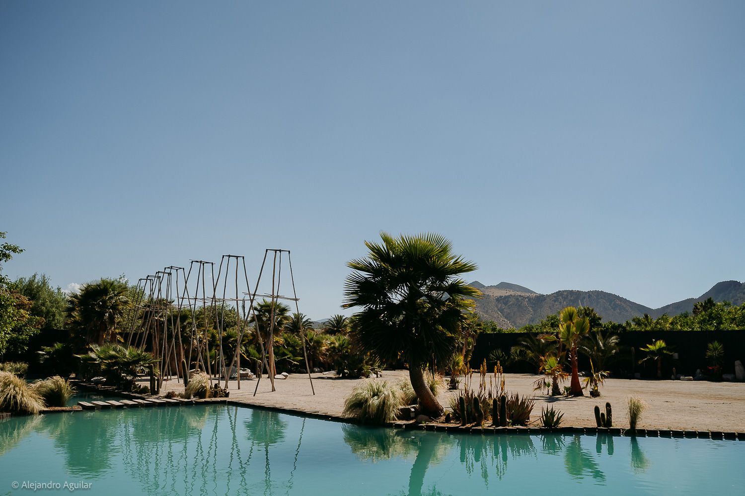Serene outdoor pool with palm trees, metal structures, and mountain views under a clear blue sky.