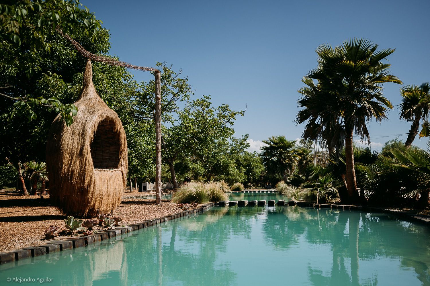 Serene garden pool with turquoise water, a woven pod sculpture, and lush palm trees under a bright blue sky.