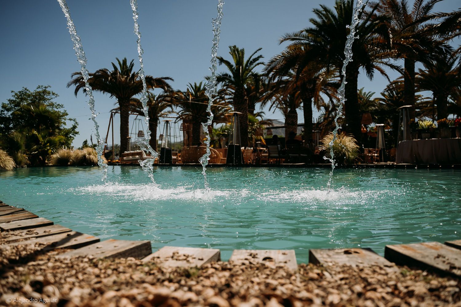 Ornamental fountain with water jets in a turquoise pool surrounded by lush palm trees on a sunny day.