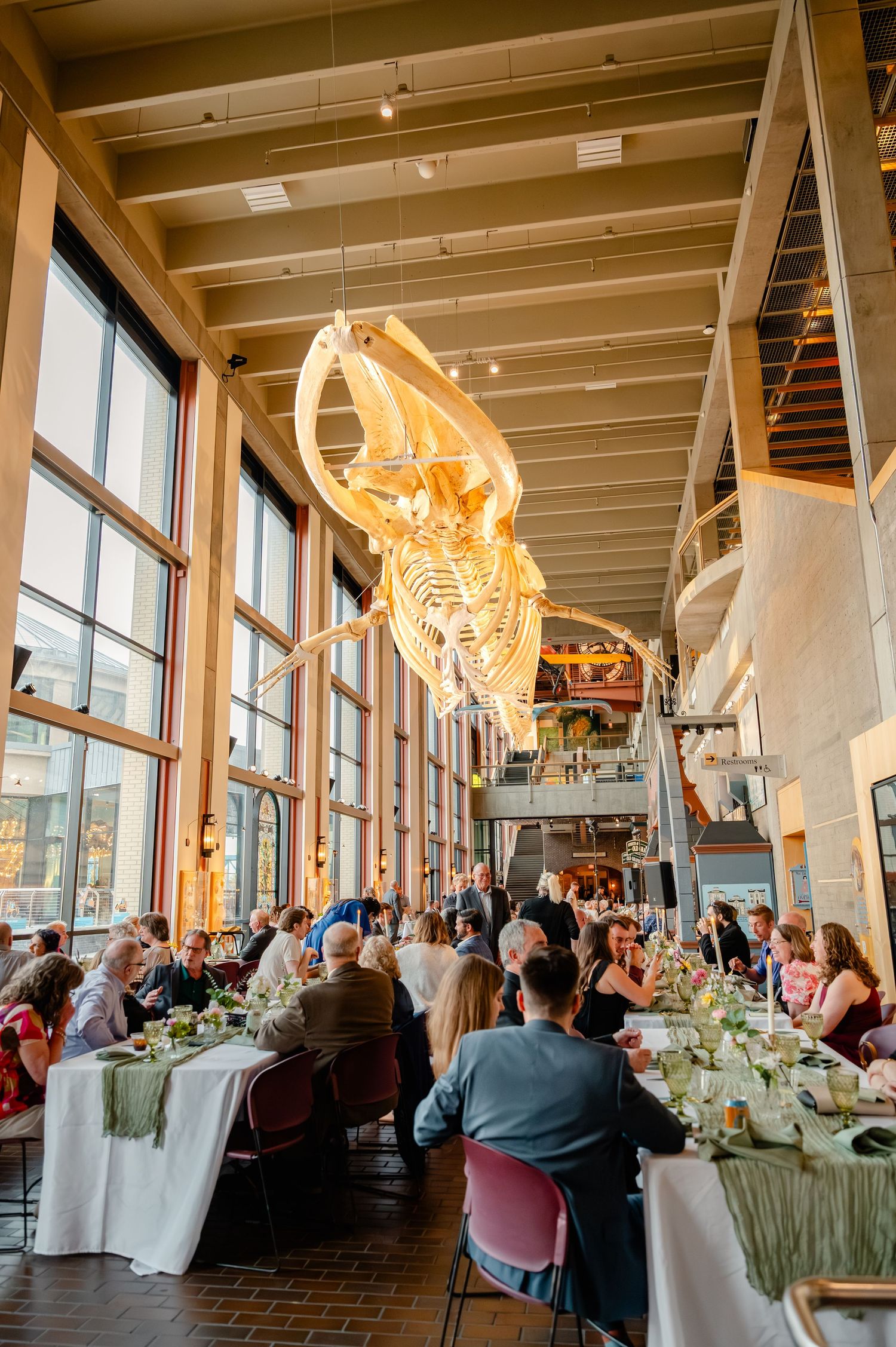 Wedding reception dinner under illuminated whale skeleton at a natural history museum venue.