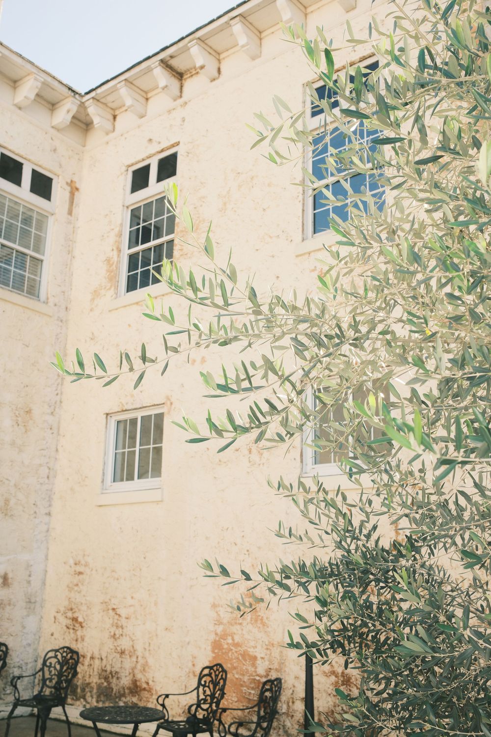 Historic stone building with white windows and olive trees in the courtyard.