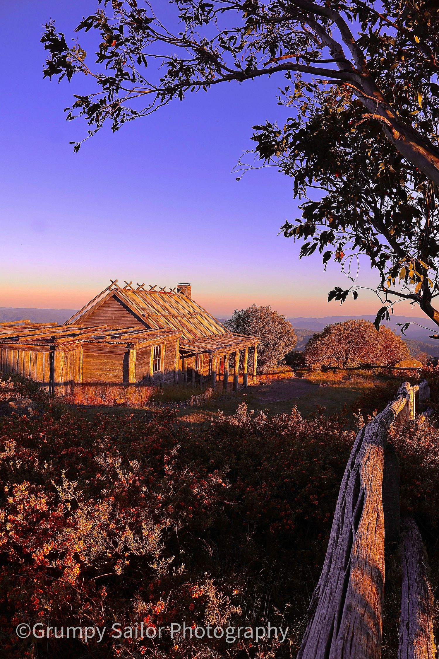 Rustic wooden cabin bathed in golden sunset light with a split-rail fence and eucalyptus trees in the Australian outback.