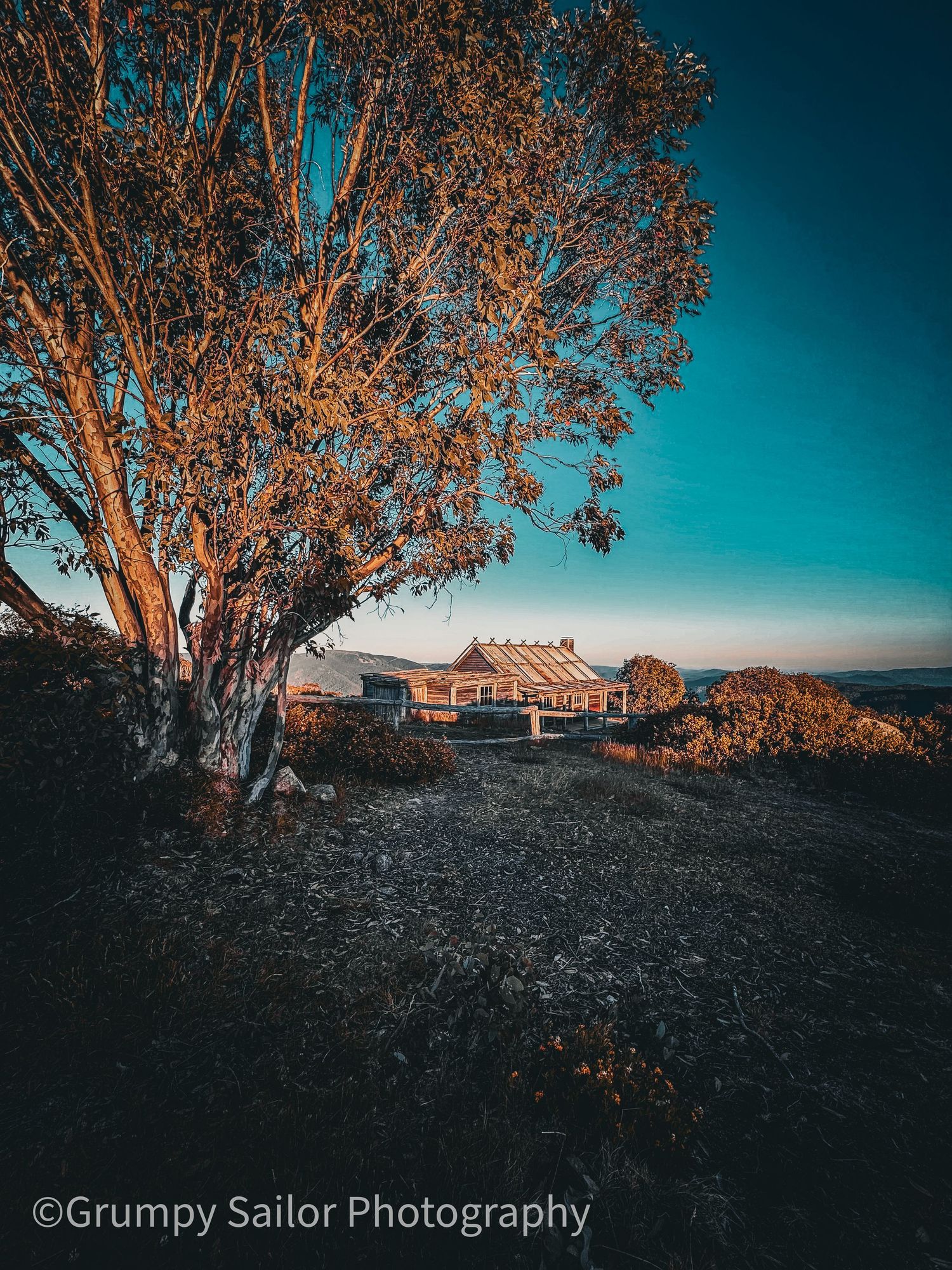 Lone tree and rustic building glowing at sunset on hilltop.