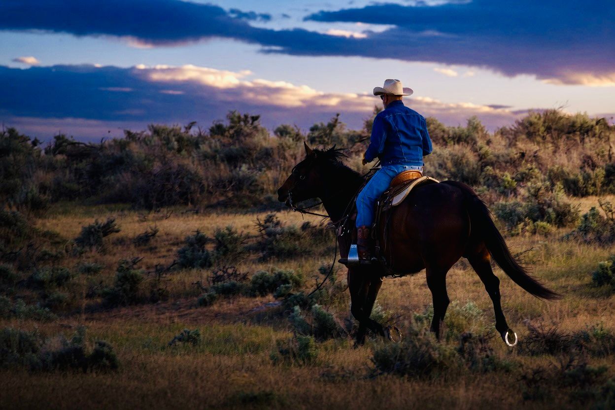 Cowboy riding a dark horse across a vast open range at dusk with a dramatic colorful sky in the background.