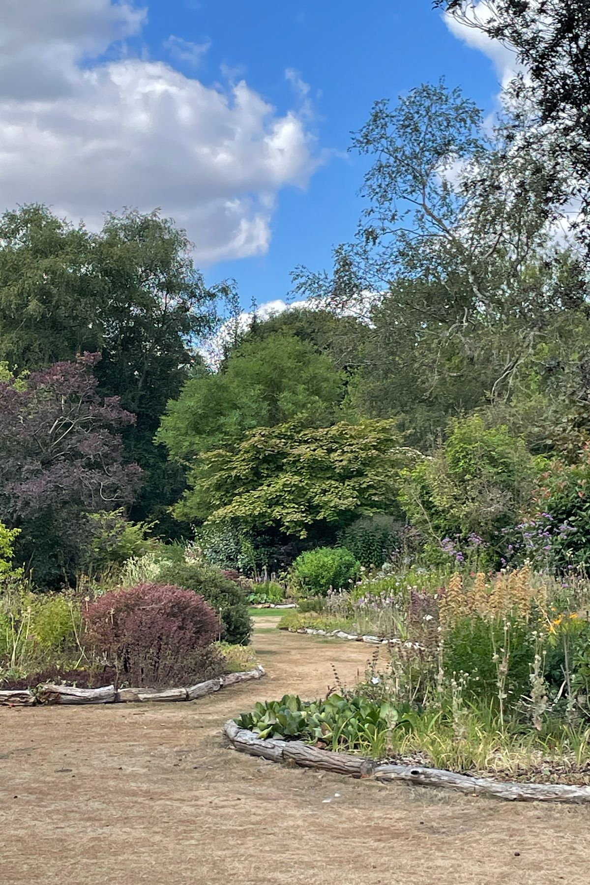 A winding garden path surrounded by lush trees, colourful shrubs, and wildflowers under a bright blue sky at Green Island Gardens.