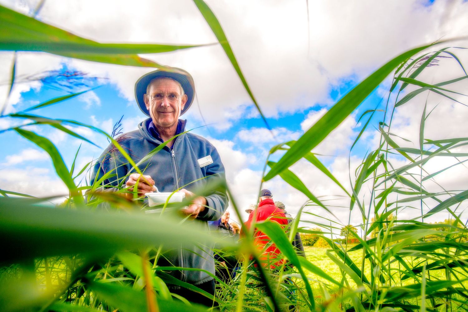 Suffolk Wildlife Trust researcher examining tall green crops in a lush field under a bright blue, cloudy sky. Photographed by John Ferguson