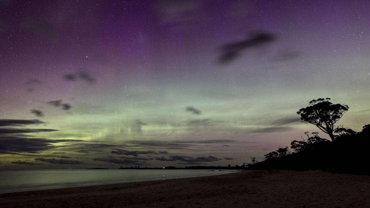 Aurora borealis illuminates purple night sky over calm beach with silhouetted tree and sandy shoreline.