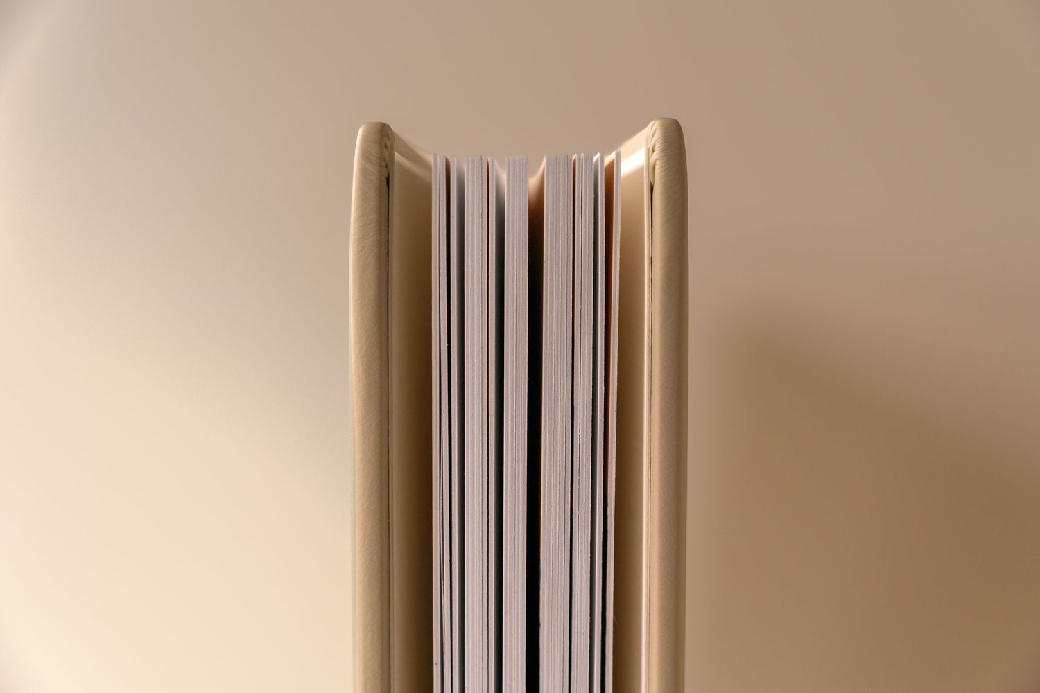 Closed hardcover book standing upright on a neutral beige background, showing its cream cover edges and white page block from the top.