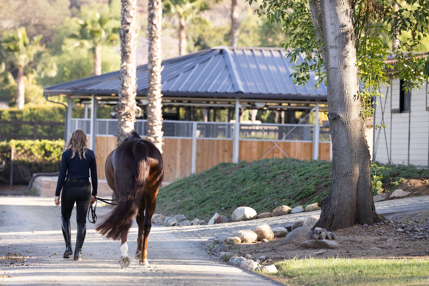 Woman in black riding attire leads a dark bay horse along a sunlit gravel path past a covered stable and tall palm trees.