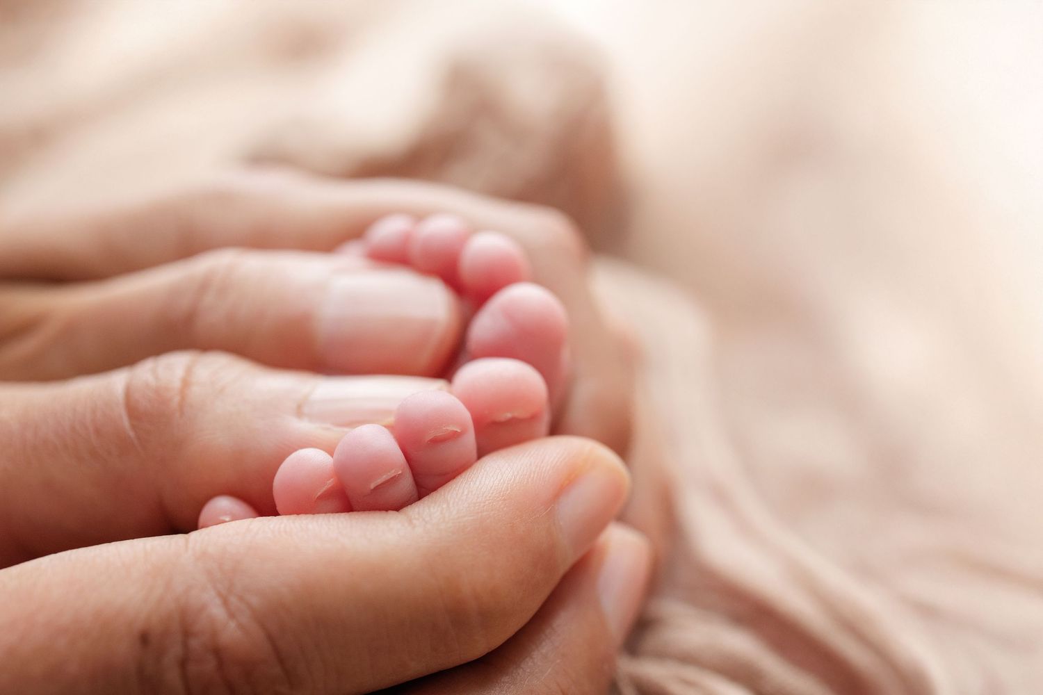 Close-up of an adult hand gently cradling tiny newborn baby feet on a soft pink blanket.