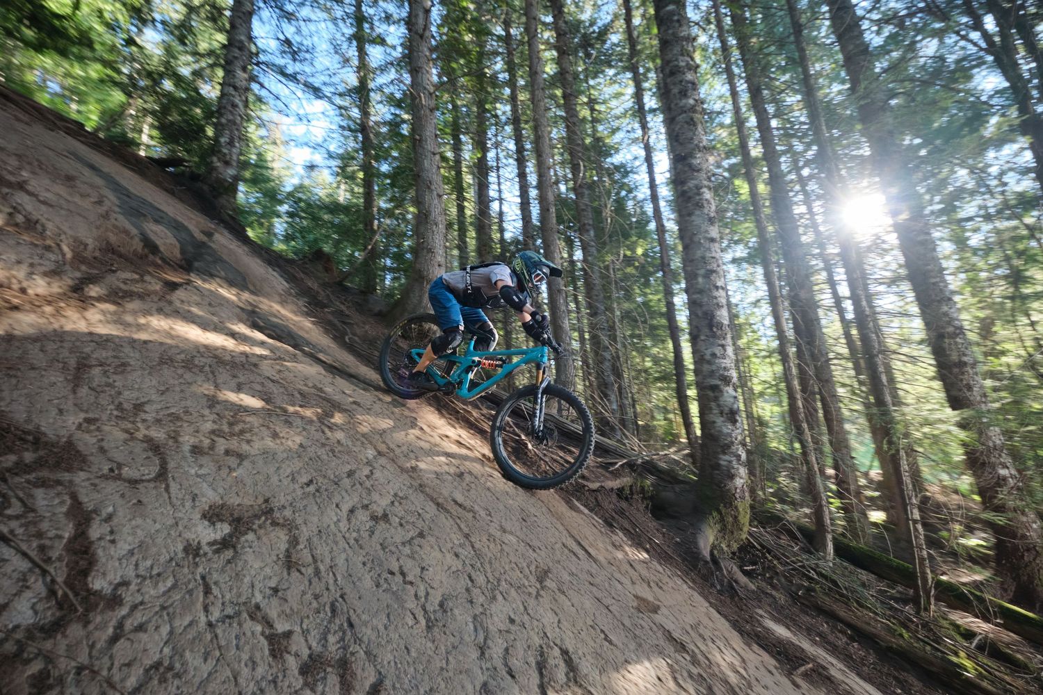 Mountain biker riding a blue bike down a steep dirt trail through a sunlit forest of tall pine trees.