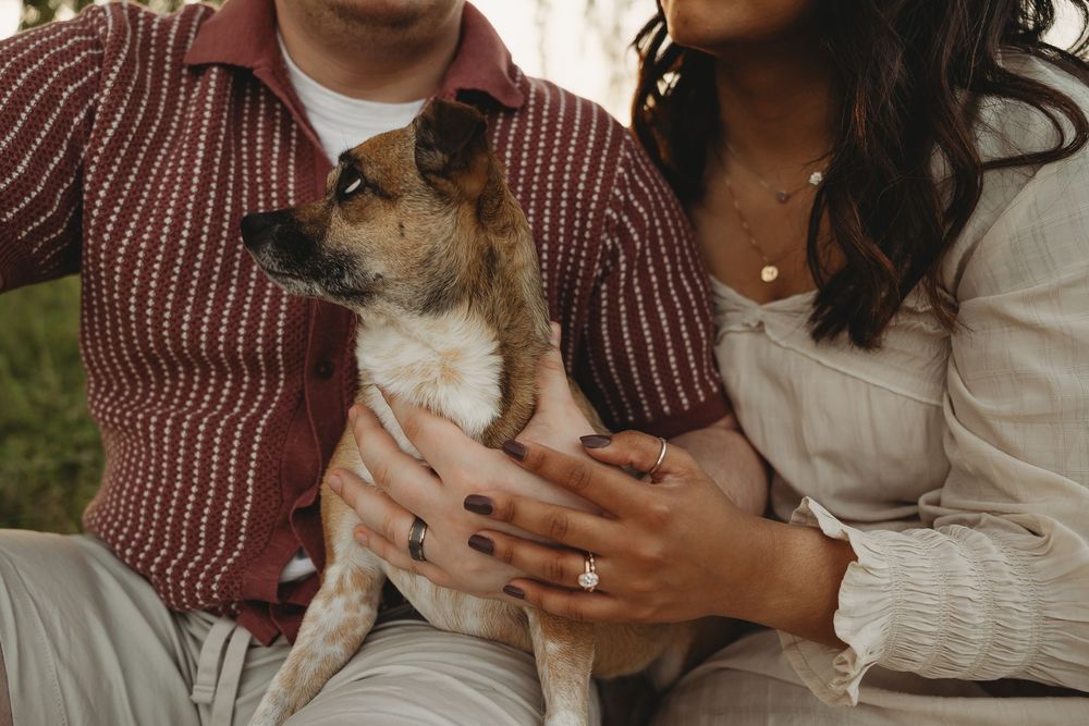 Couple sitting together holding a small Jack Russell terrier dog, woman wearing an engagement ring, casual outdoor setting.