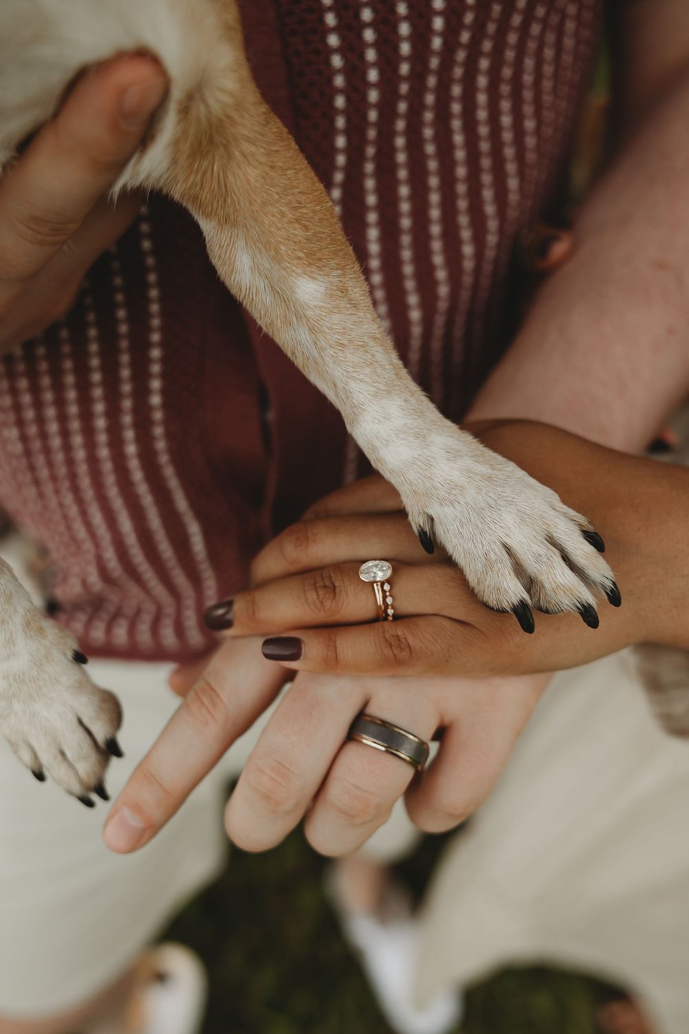 Couple stacking hands with dog paw showing engagement ring and wedding band in sweet pet photo.