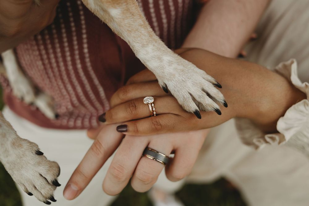Close-up of two hands with rings, one gold engagement ring, one silver band, with a dog paw resting on top.