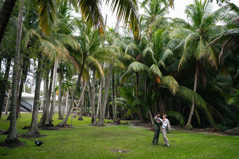 Two people stand on lush green grass surrounded by tall tropical palm trees in a sunny outdoor setting.